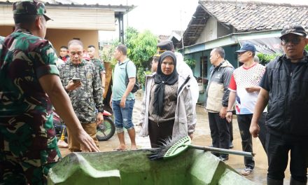 Walikota Bandar Lampung Eva Dwiana Meninjau lokasi terdampak banjir di kecamatan panjang