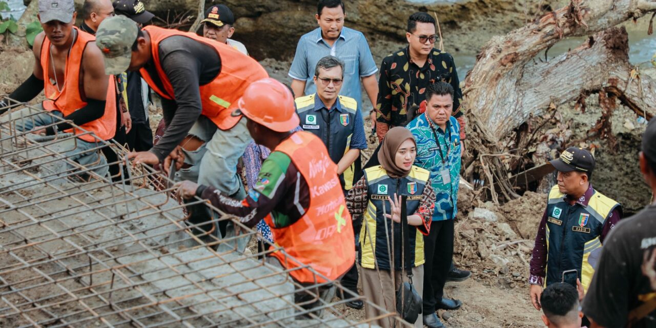 Pastikan Kelancaran Akses Jalan Akibat Longsor, Wagub Jihan Nurlela Tinjau Progres Perbaikan Ruas Jalan Provinsi Simpang Umbar–Putih Doh di Tanggamus