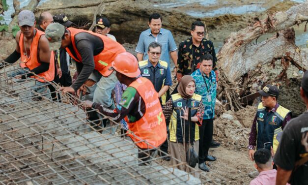 Pastikan Kelancaran Akses Jalan Akibat Longsor, Wagub Jihan Nurlela Tinjau Progres Perbaikan Ruas Jalan Provinsi Simpang Umbar–Putih Doh di Tanggamus